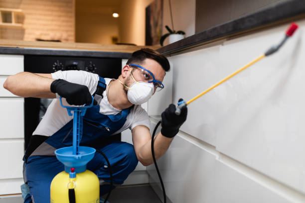 Best Insect Control  in Carrollton, KY