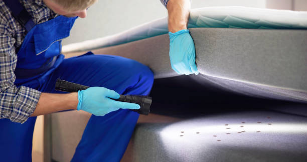 Best Local Pest Control Services  in Carrollton, KY