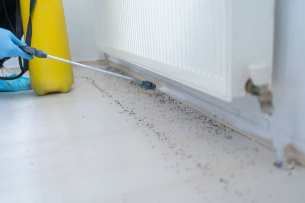 Best Emergency Pest Control  in Carrollton, KY