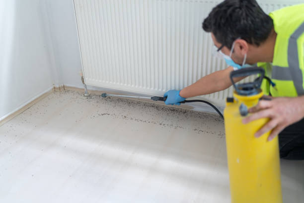 Best Flea Control Services  in Carrollton, KY